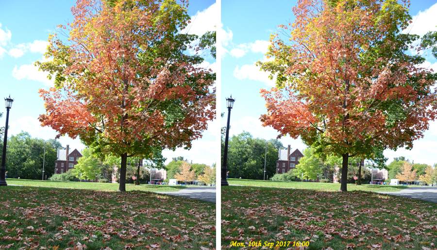 Timestamp on Photos Example